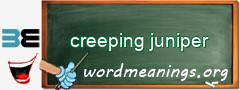 WordMeaning blackboard for creeping juniper